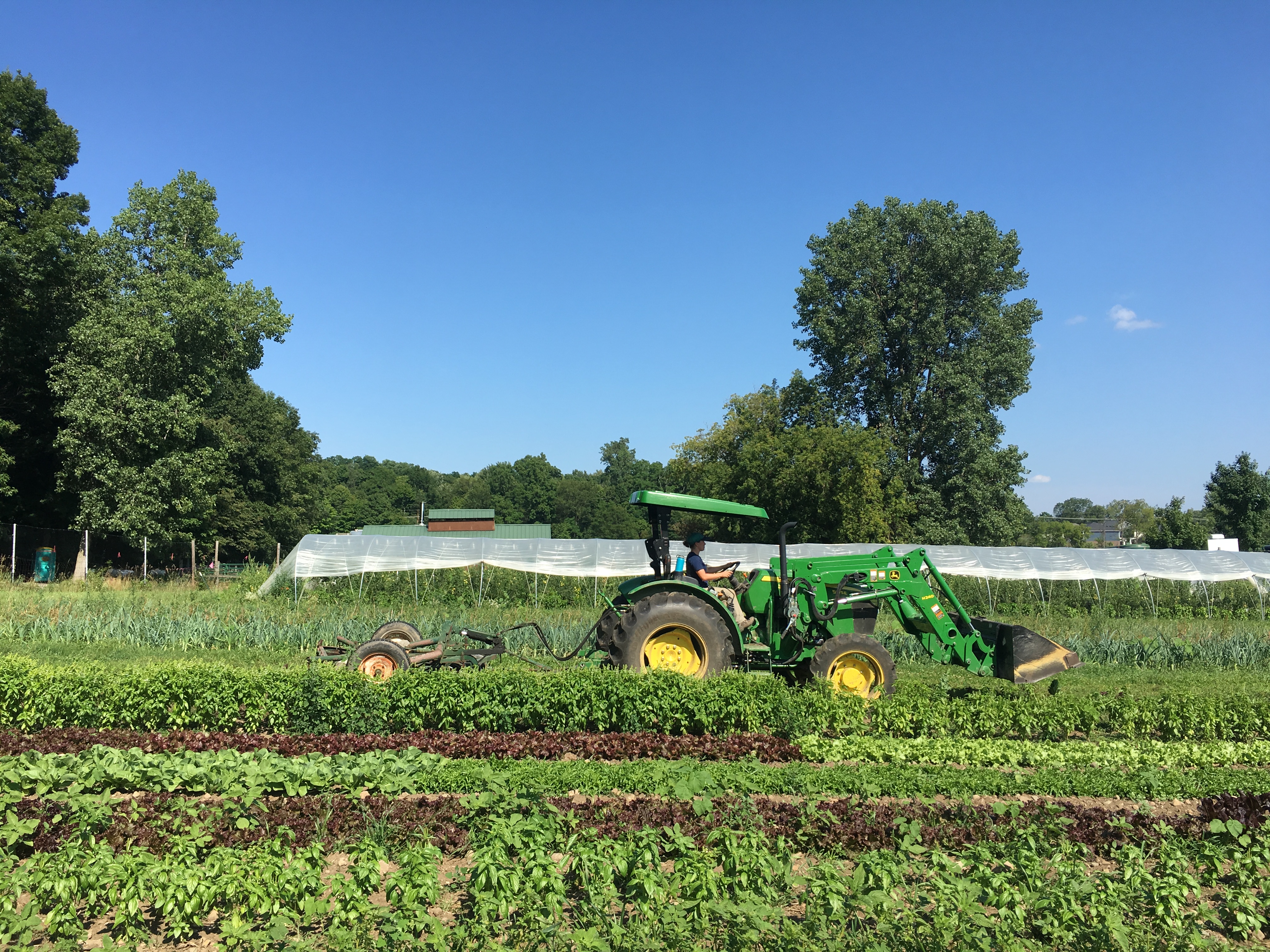 Tractor Work